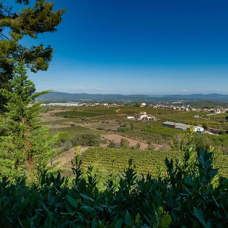 Cal Mestre Guest house